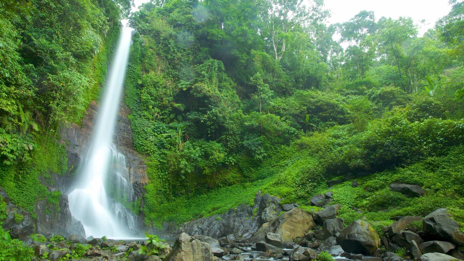 North Bali waterfall near the YogaFX Retreat North Bali waterfall in lush jungle near the Retreat sanctuary